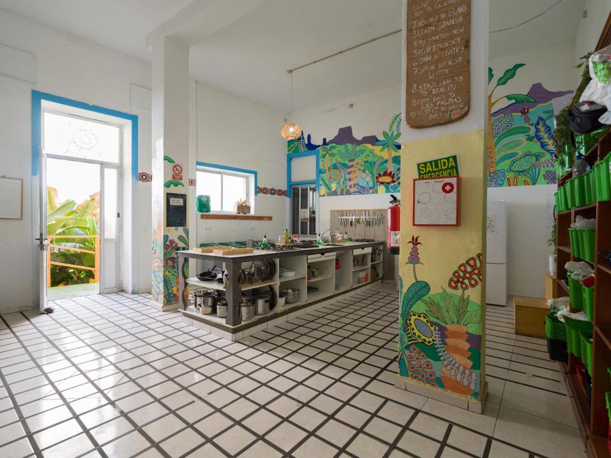 Ostello Jungle House Las Palmas de Gran Canaria Esterno foto
